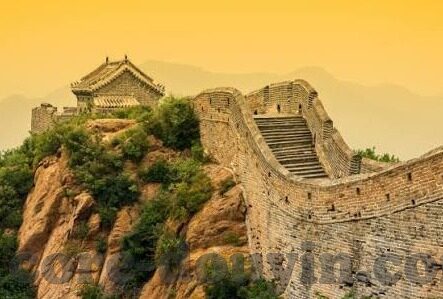 成人视频在线播放-成人视频在线播放，理性审视与安全使用的必要性