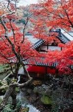 人妻免费区二区-探索人妻角色的多元面向，从人妻到情感与自我成长的旅程