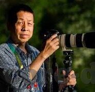 色情成人免费视频-探索成人娱乐的边界，色情成人免费视频的多元视角